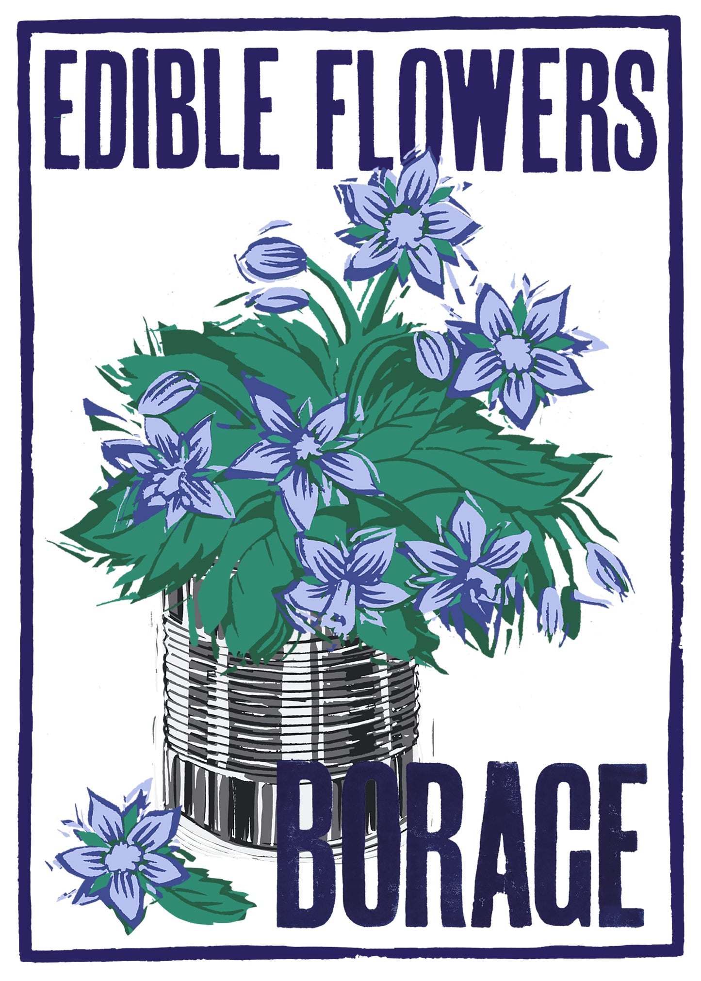 Borage