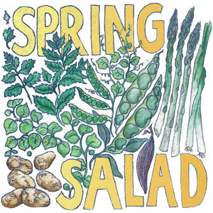 Illustrated seasonal recipe calendar by Kate Guy Prints  2023 April Spring Salad
