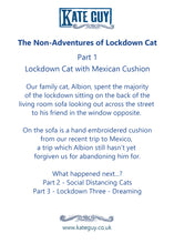 Load image into Gallery viewer, Lockdown Cat with Mexican Cushion Greetings Card