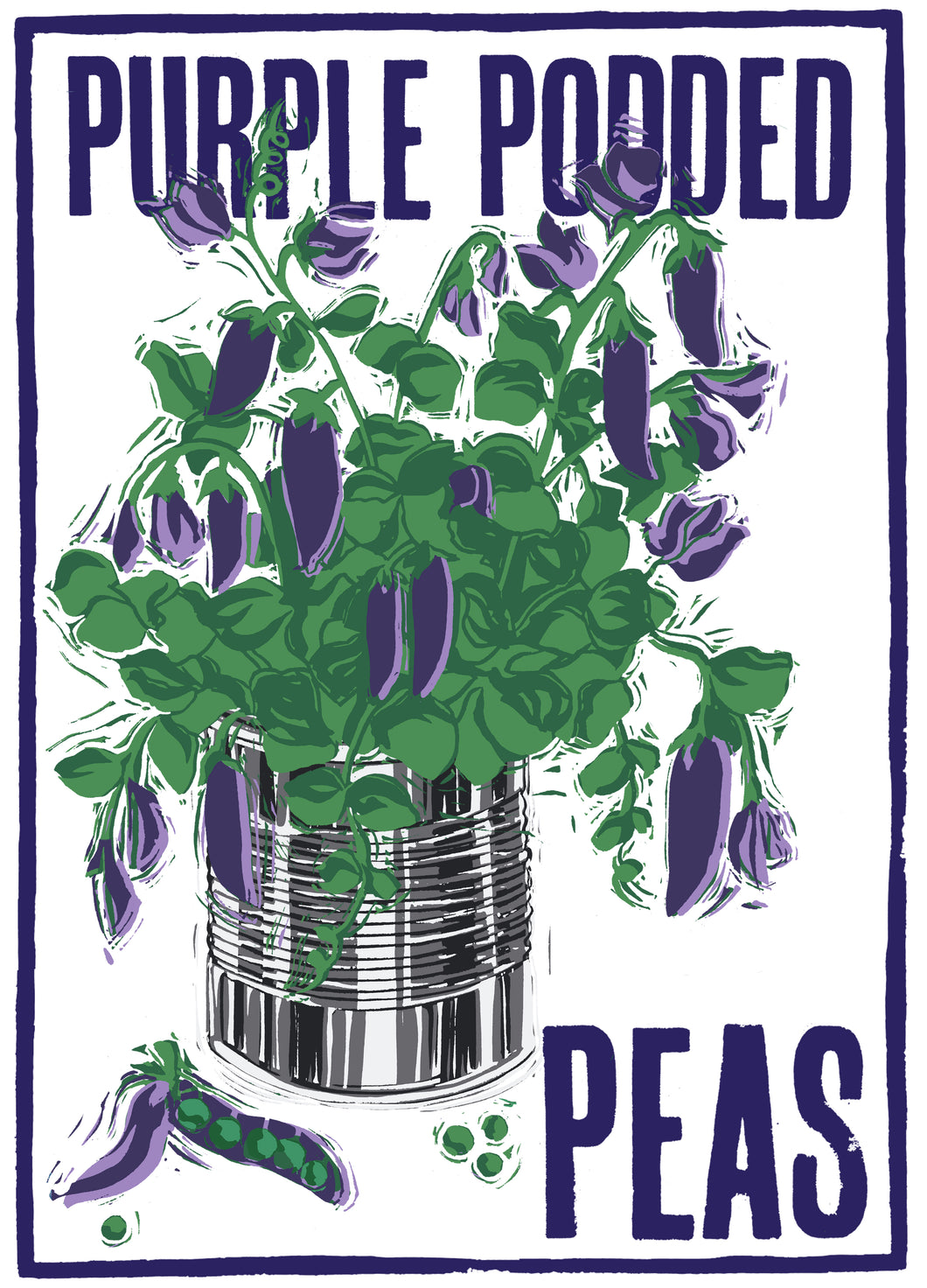 Purple Podded Peas