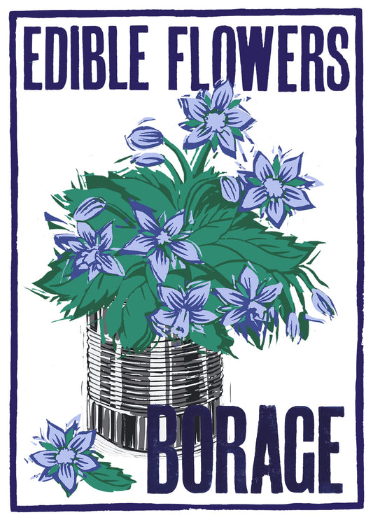 Borage