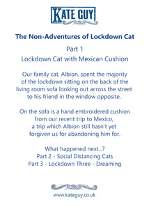 Lockdown Cat with Mexican Cushion Greetings Card